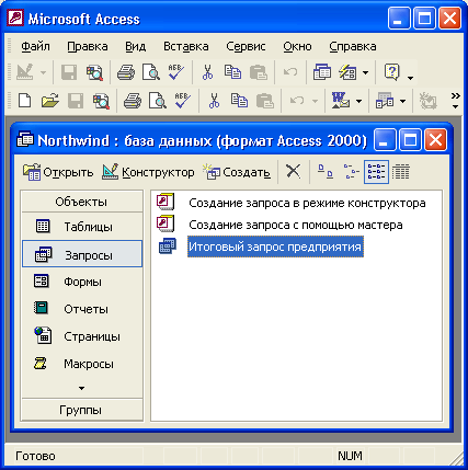Внешний вид приложения Access 2000